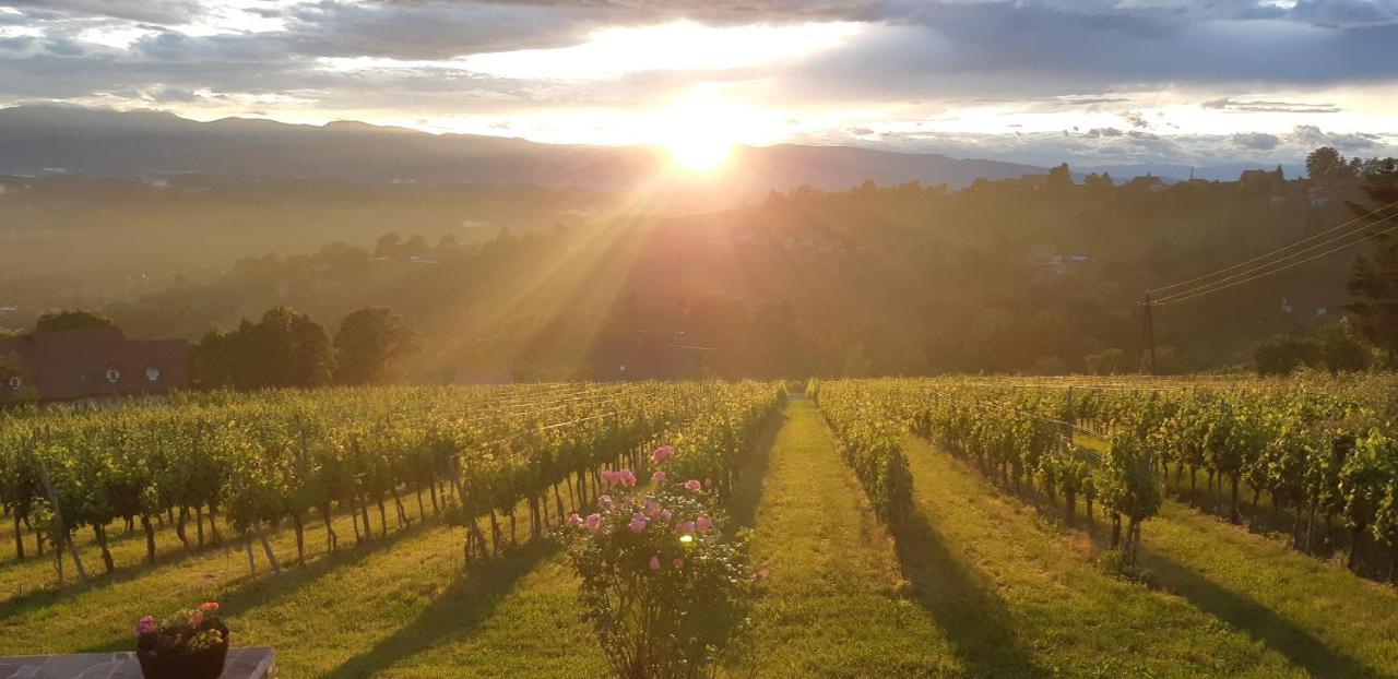 Wein- Und Weitblick Lejlighed Gleinstätten Eksteriør billede