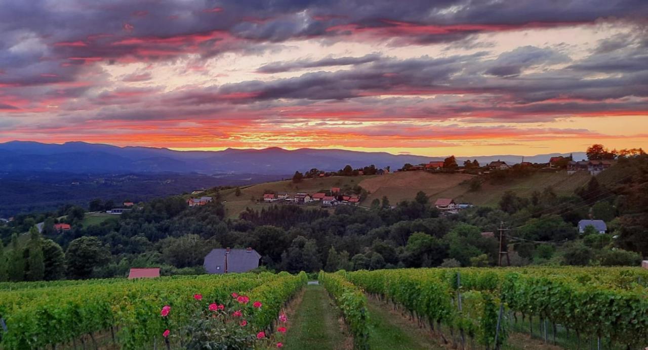Wein- Und Weitblick Lejlighed Gleinstätten Eksteriør billede